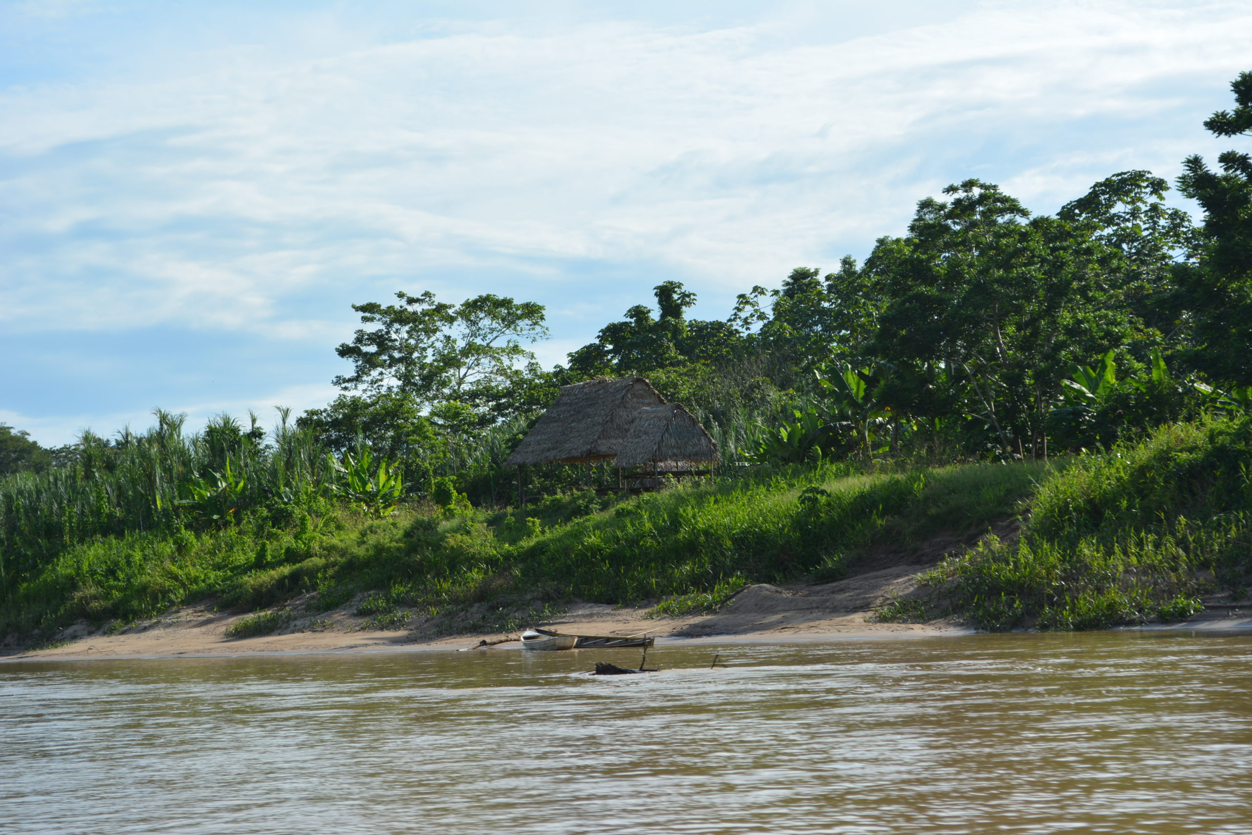 DETER — Brazil's Near-Real-Time Satellite Deforestation Alert System for Amazon Law Enforcement