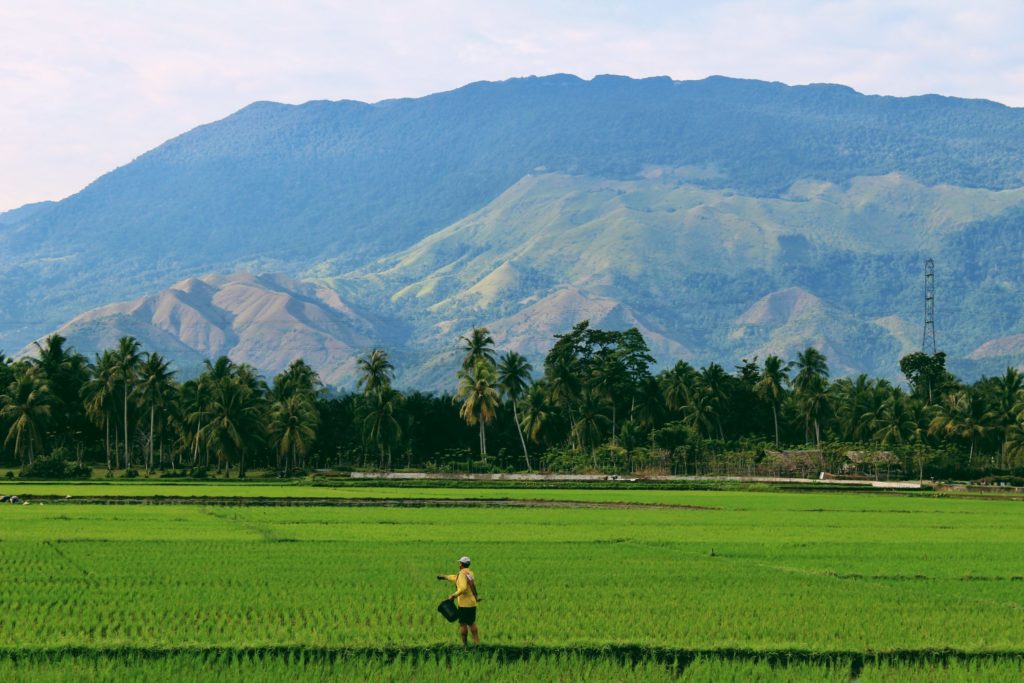 Indonesia-1-scaled-1024x1024