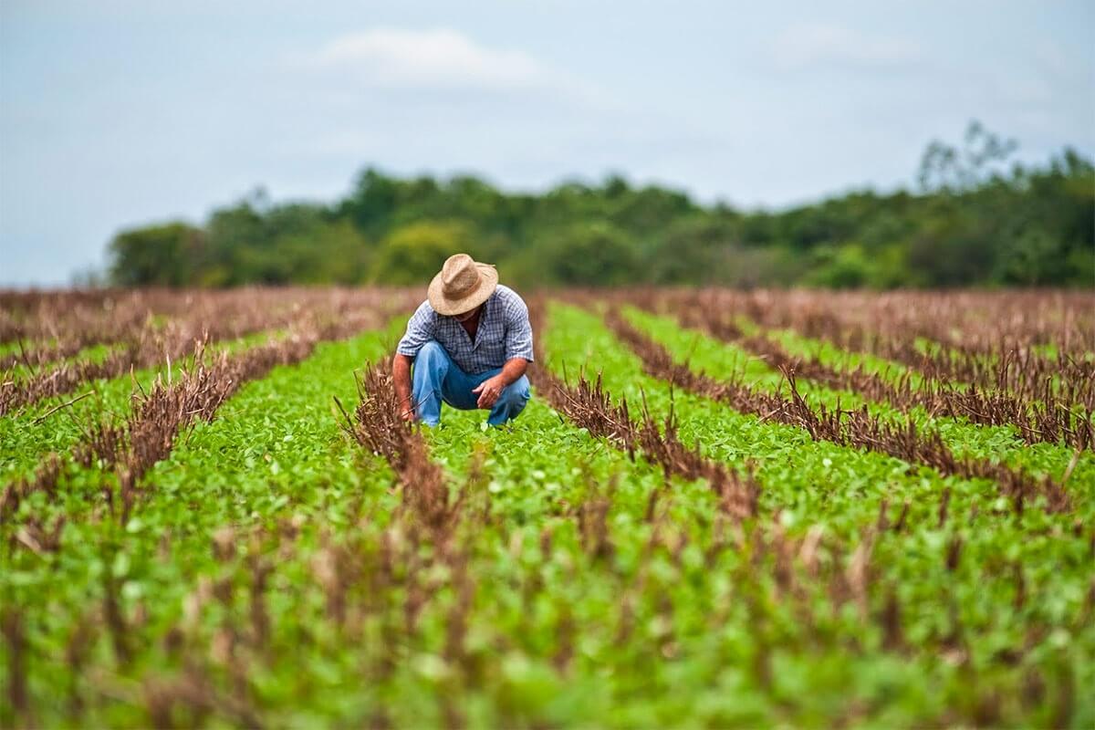Agricultural Land Use