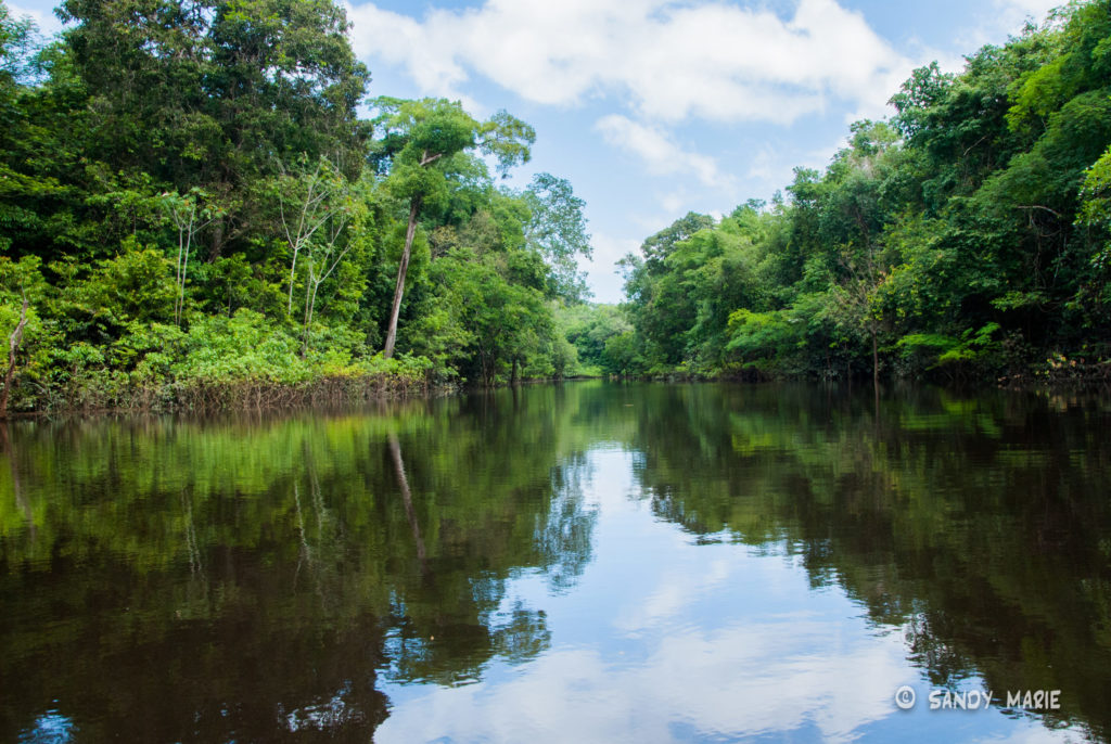 amazonia-sandy-marie-5-scaled-1024x1024