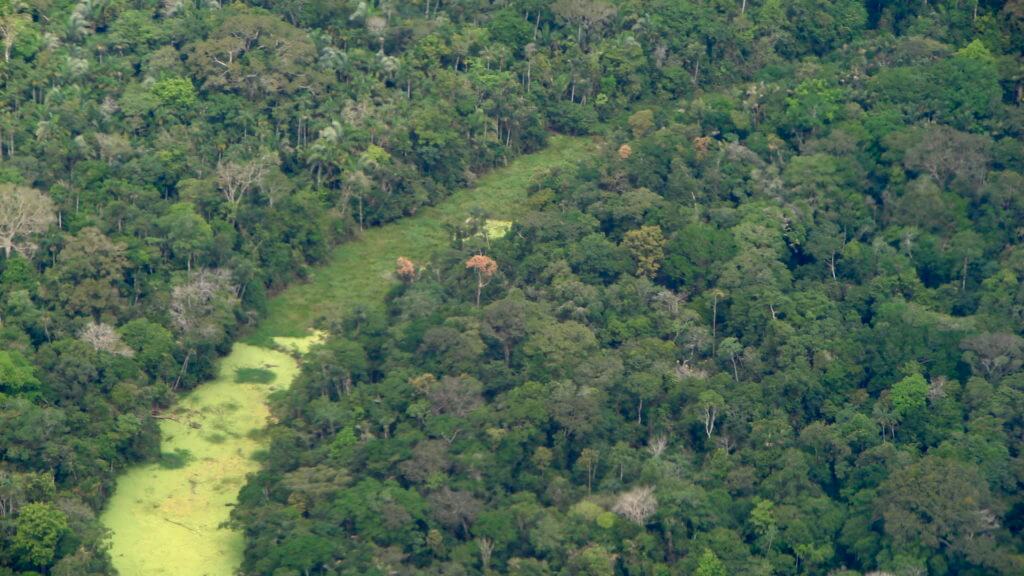 Amazonia-Rio-Branco-a-Cruzeiro-do-Sul-Vihh-1024x576