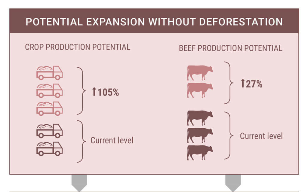 Insights-Sustainable-Agricultural-1024x639