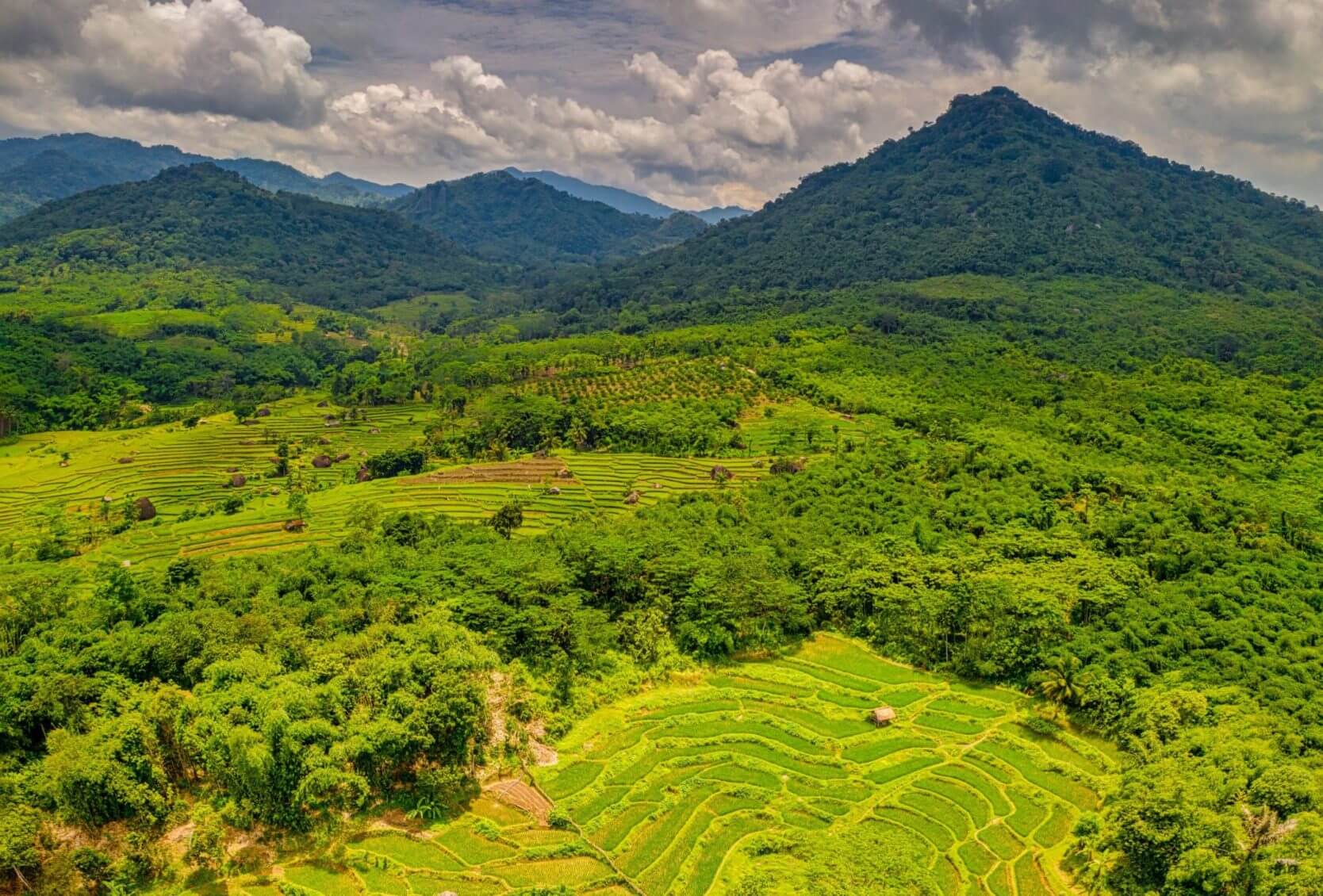 Indonesia Environment Fund: Bridging the Financing Gap in Environmental  Programs - CPI