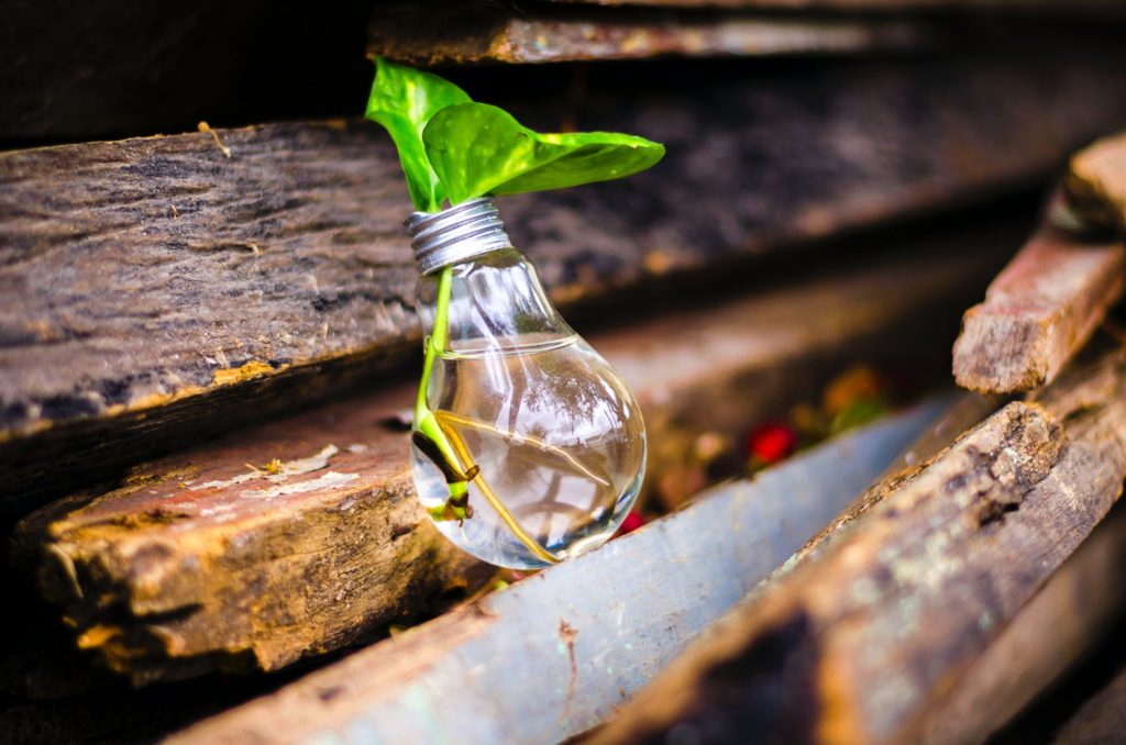 close-up-of-beer-bottles-on-wood-315658-scaled-1024x1024