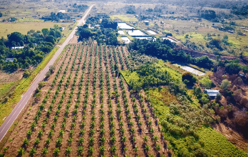 Caaporã-The-Socio-Climate-Benefits-Fund-Image-1024x1024