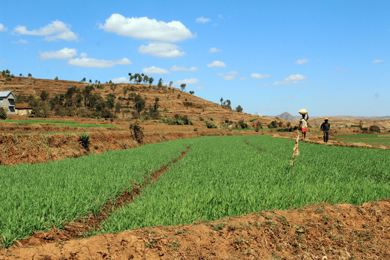 Climate-Smart-Lending-Platform-Image-1024x1024
