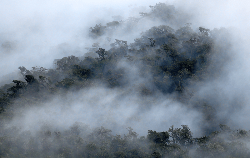 Cloud-Forest-Blue-Energy-Mechanism-Image-1024x1024