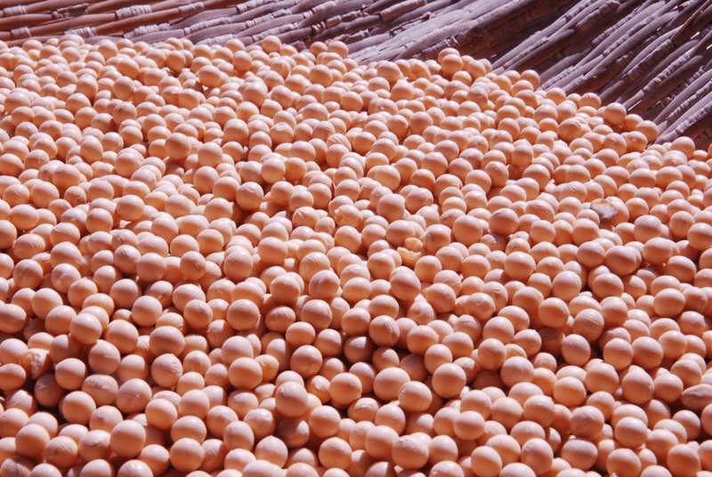 Responsible-Commodities-Facility-Image-1024x1024
