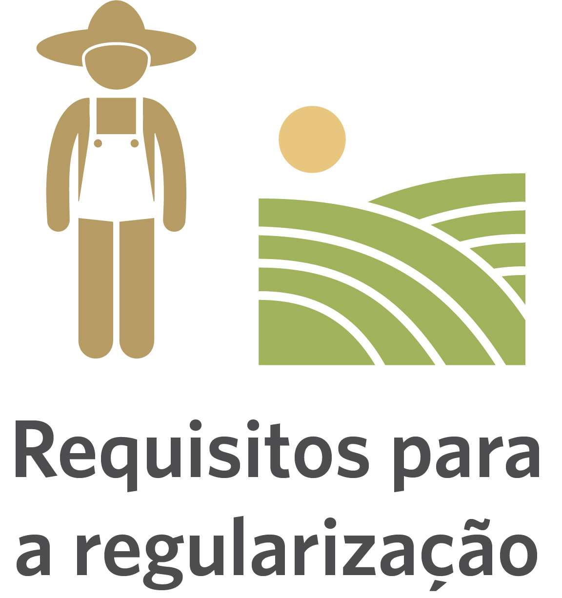 Requisitos para a regularização