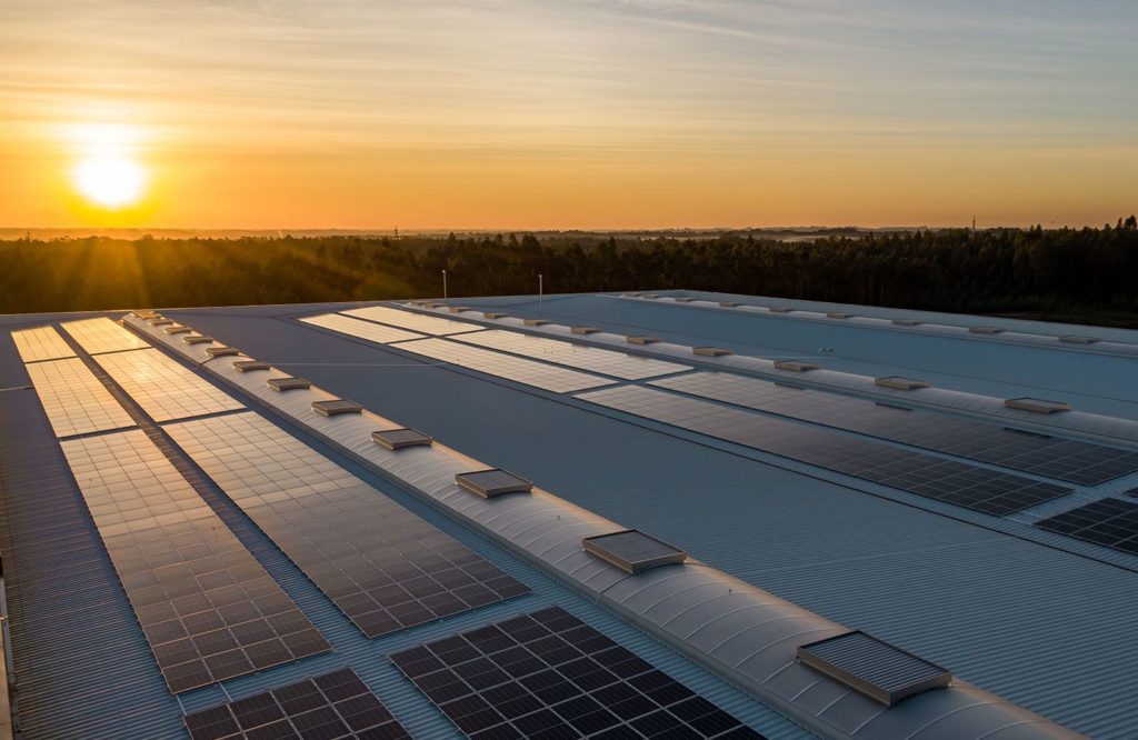 The Future of Distributed Renewable Energy in India - CPI