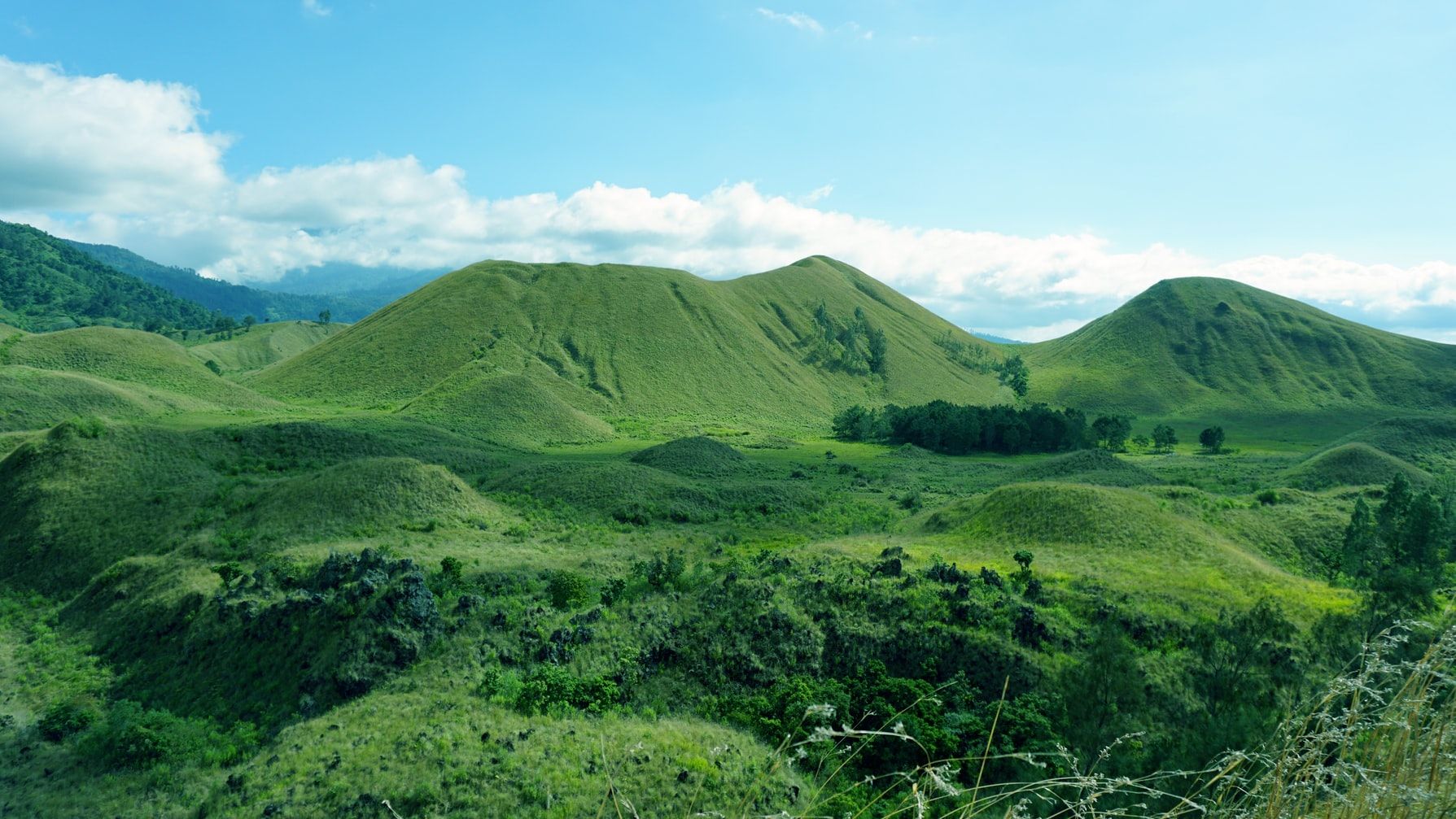 Source land. Source land