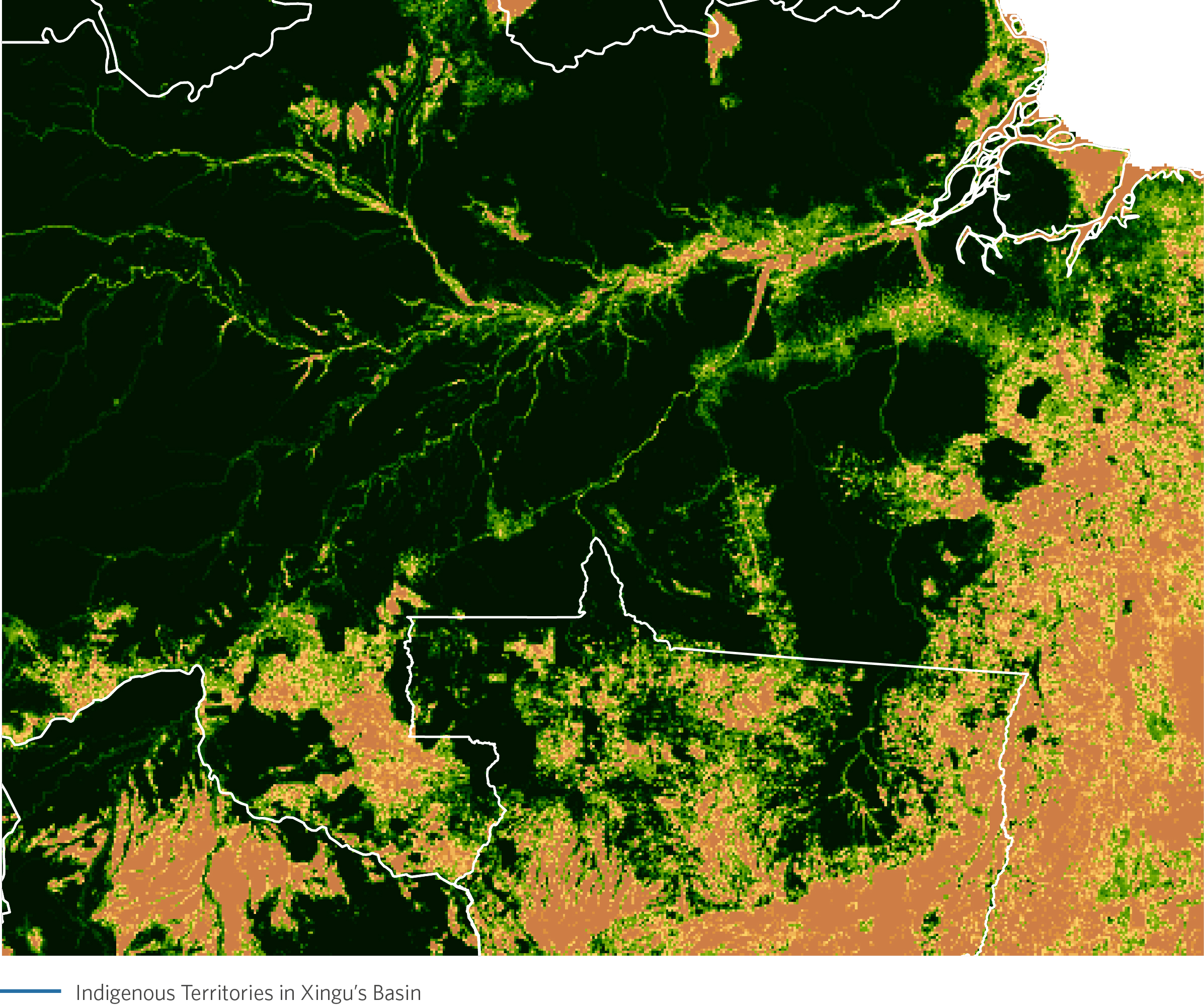 which case study shows deforestation why do you think so