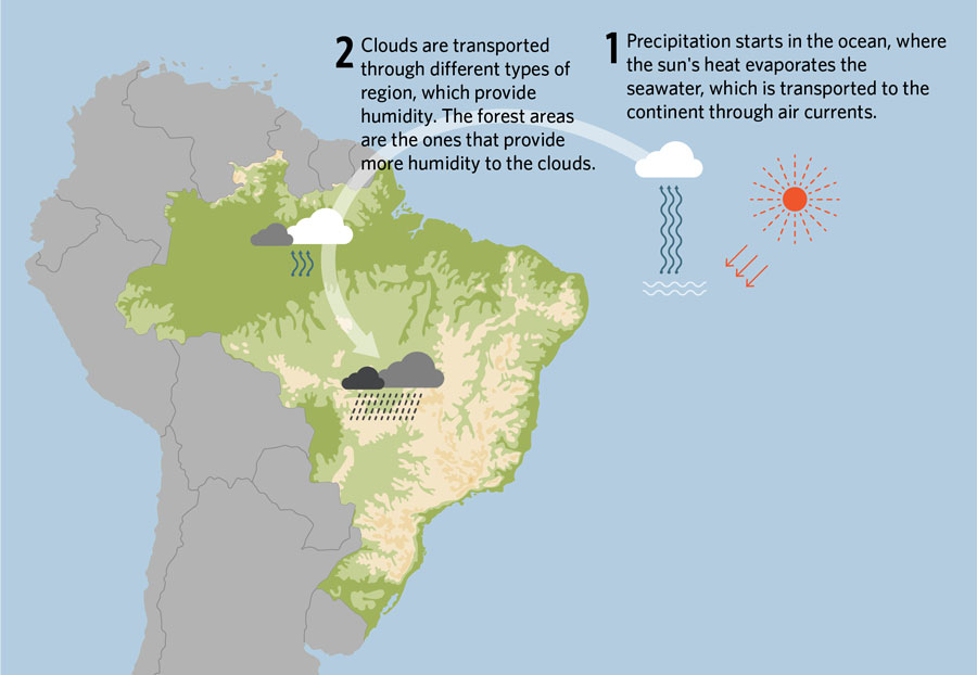 which case study shows deforestation why do you think so