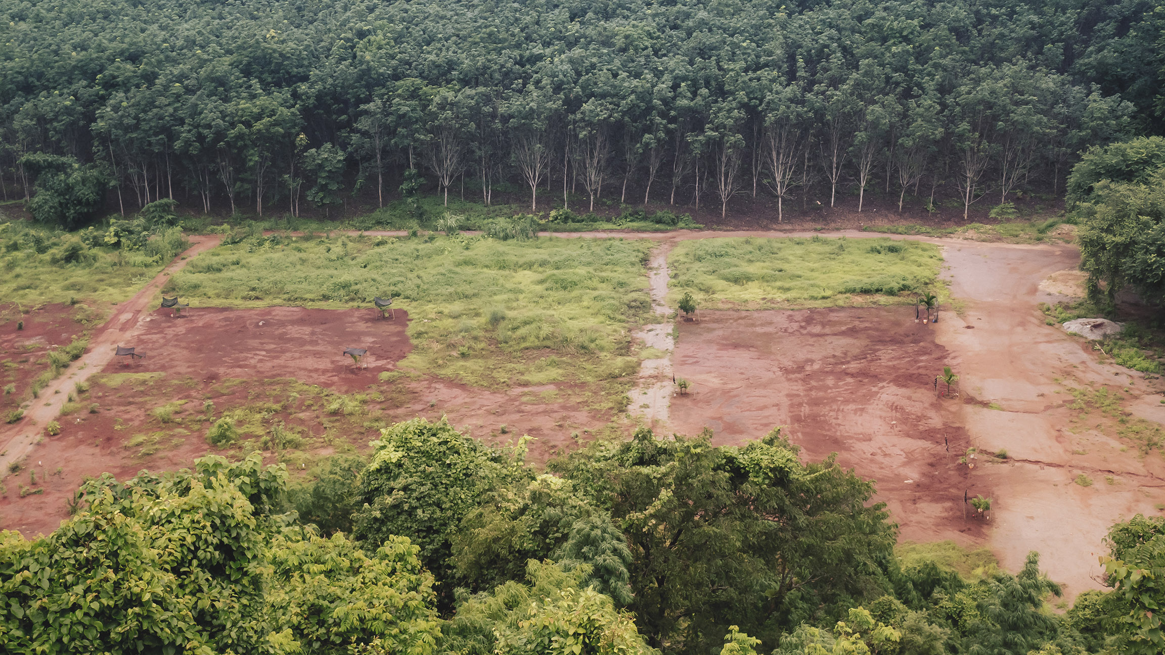 Brasil terá laboratório do desmatamento zero, o 'Lab DeZ', diz