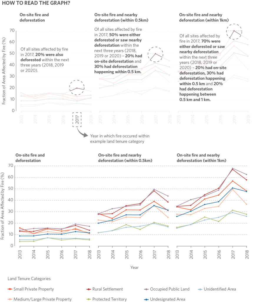 The Relationship between Forest Fires and Deforestation in the Amazon ...