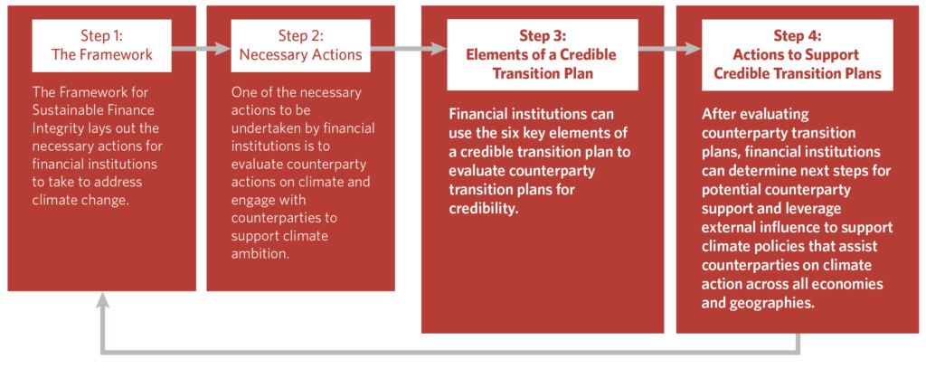 What Makes a Transition Plan Credible? Considerations for Financial ...