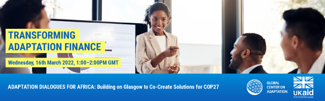Adaptation Dialogues for Africa: Transforming Adaptation Finance - CPI