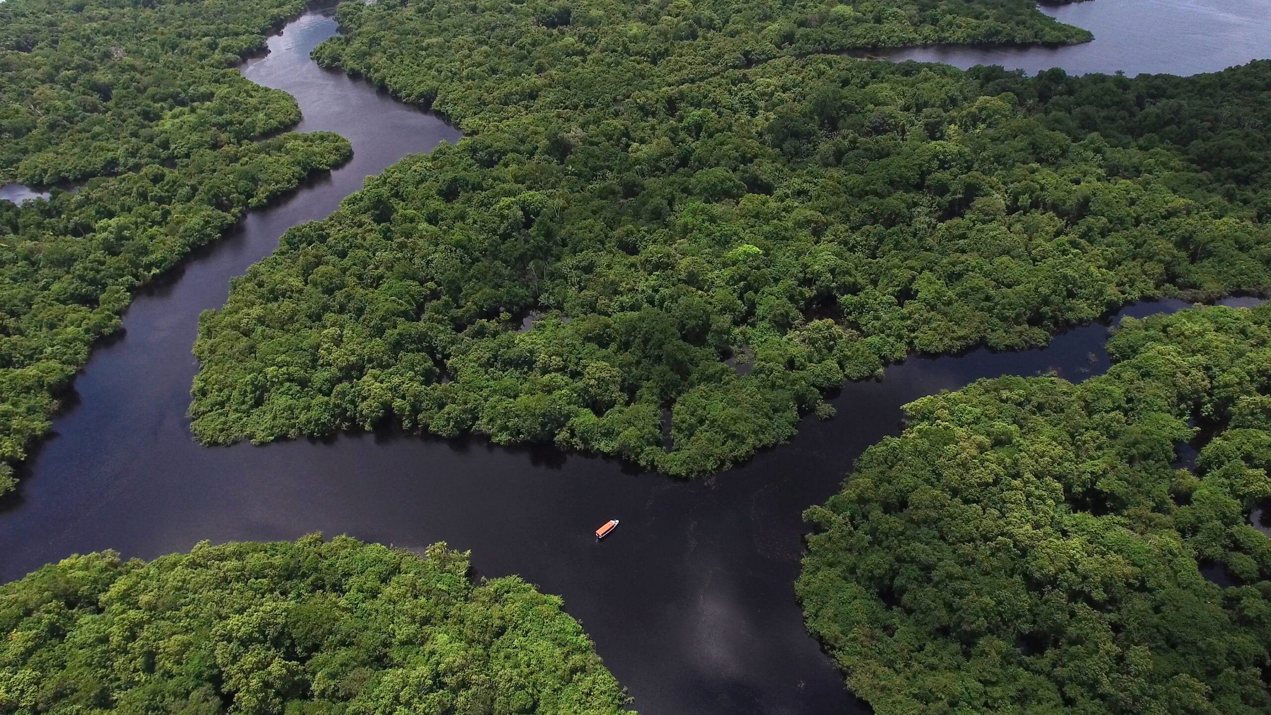 Estudo mostra que as é o estado com maior área de terras públicas  'sem destinação' na Amazônia Legal, as