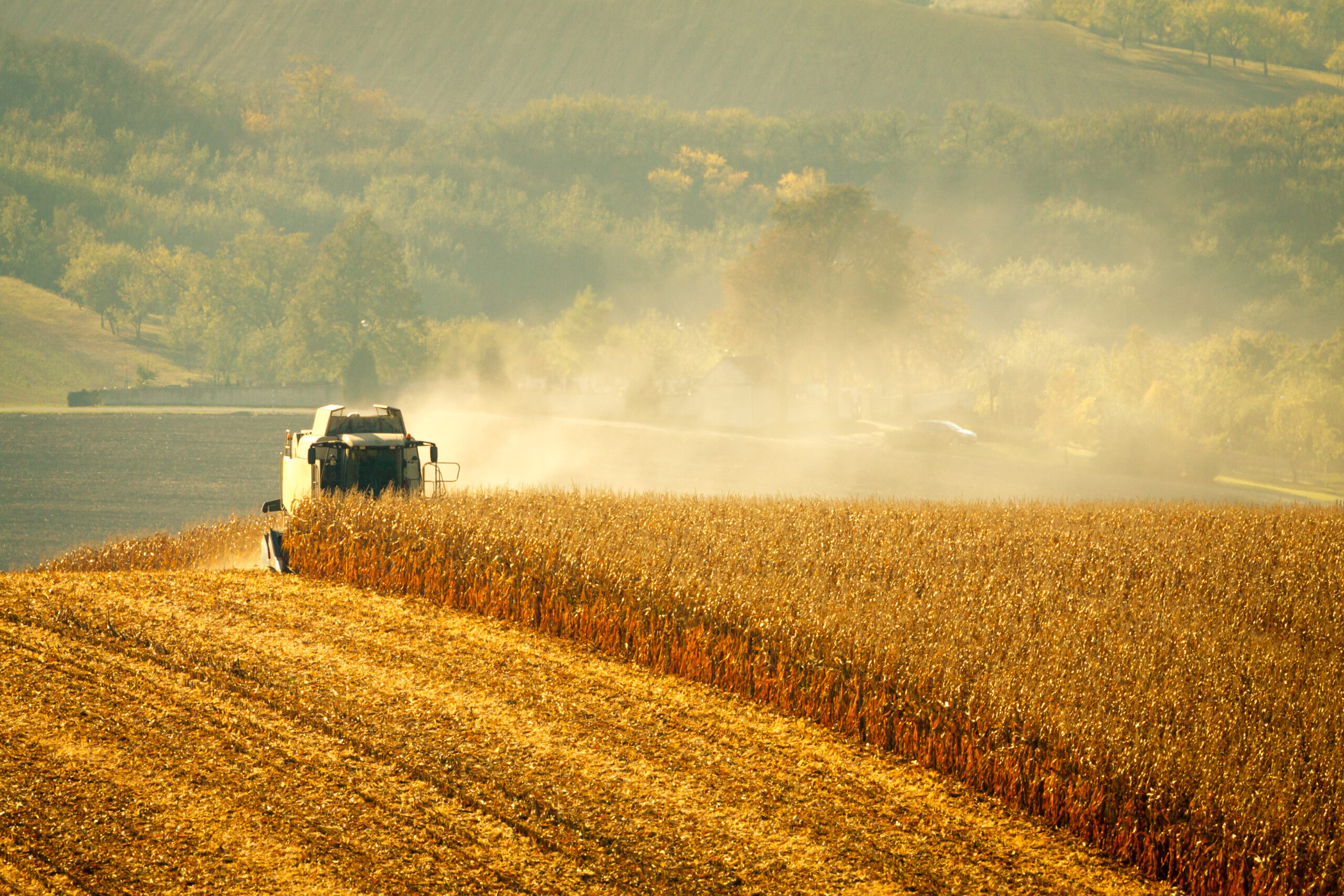 A soil productivity system reveals most Brazilian agricultural lands are  below their maximum potential