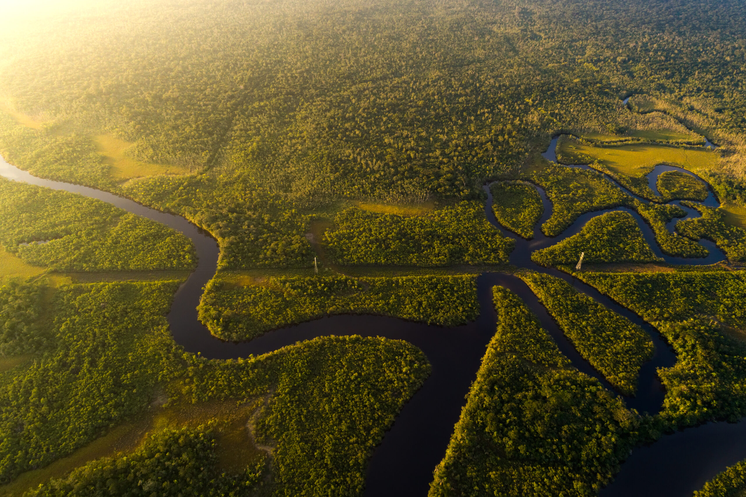 A Conservação da Amazônia É Essencial Para o Futuro do Brasil CPI