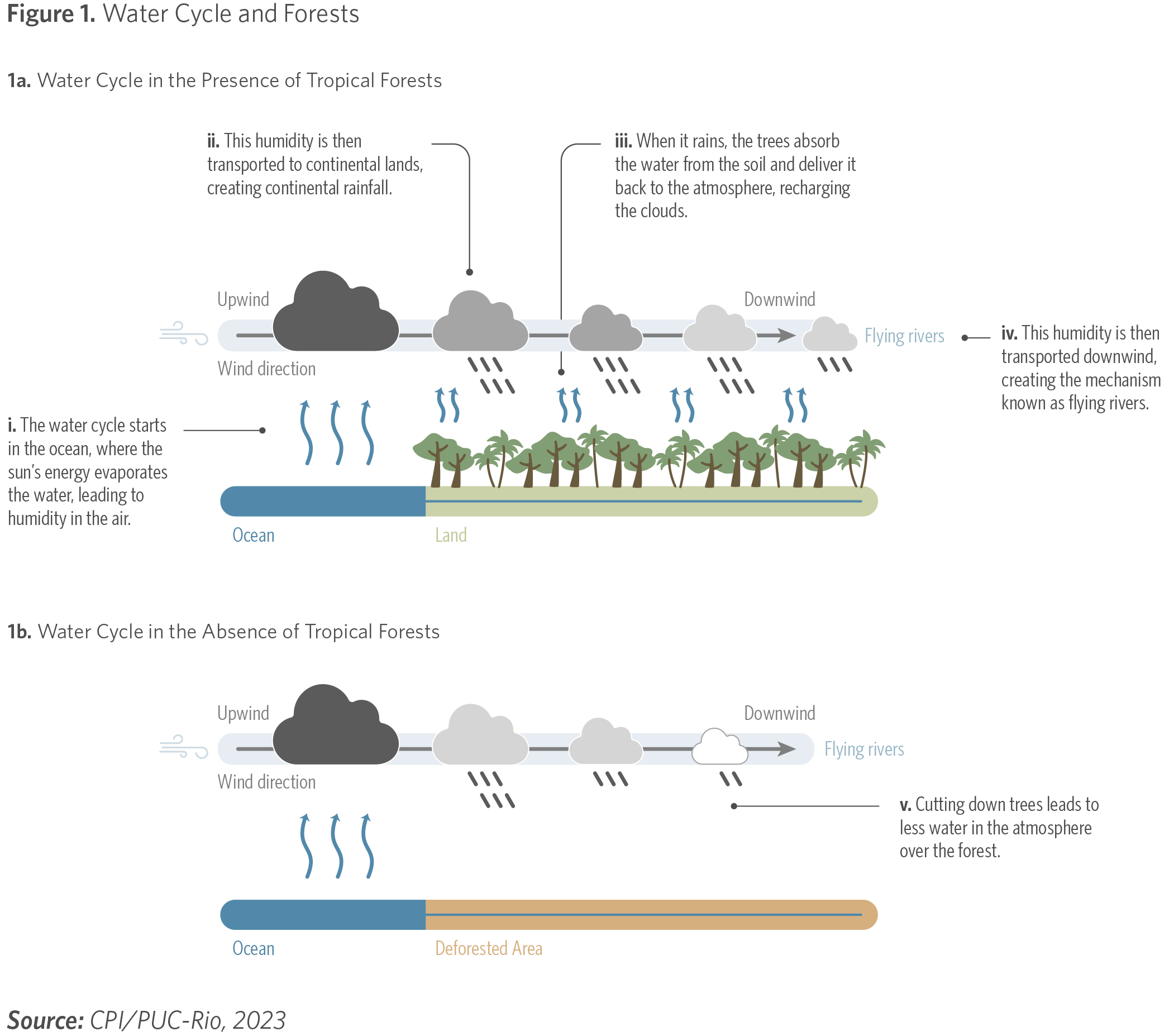 The Amazon Domino Effect How Deforestation Can Trigger Widespread Degradation CPI