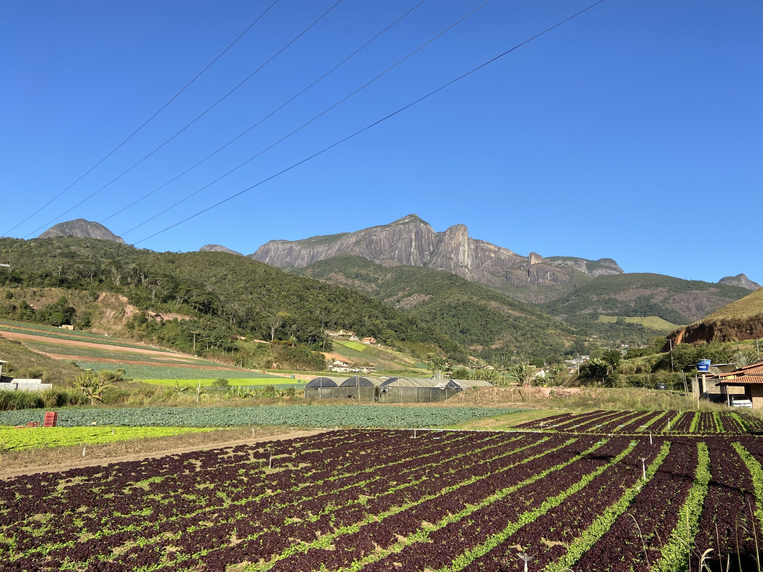 ARural Agropecuária