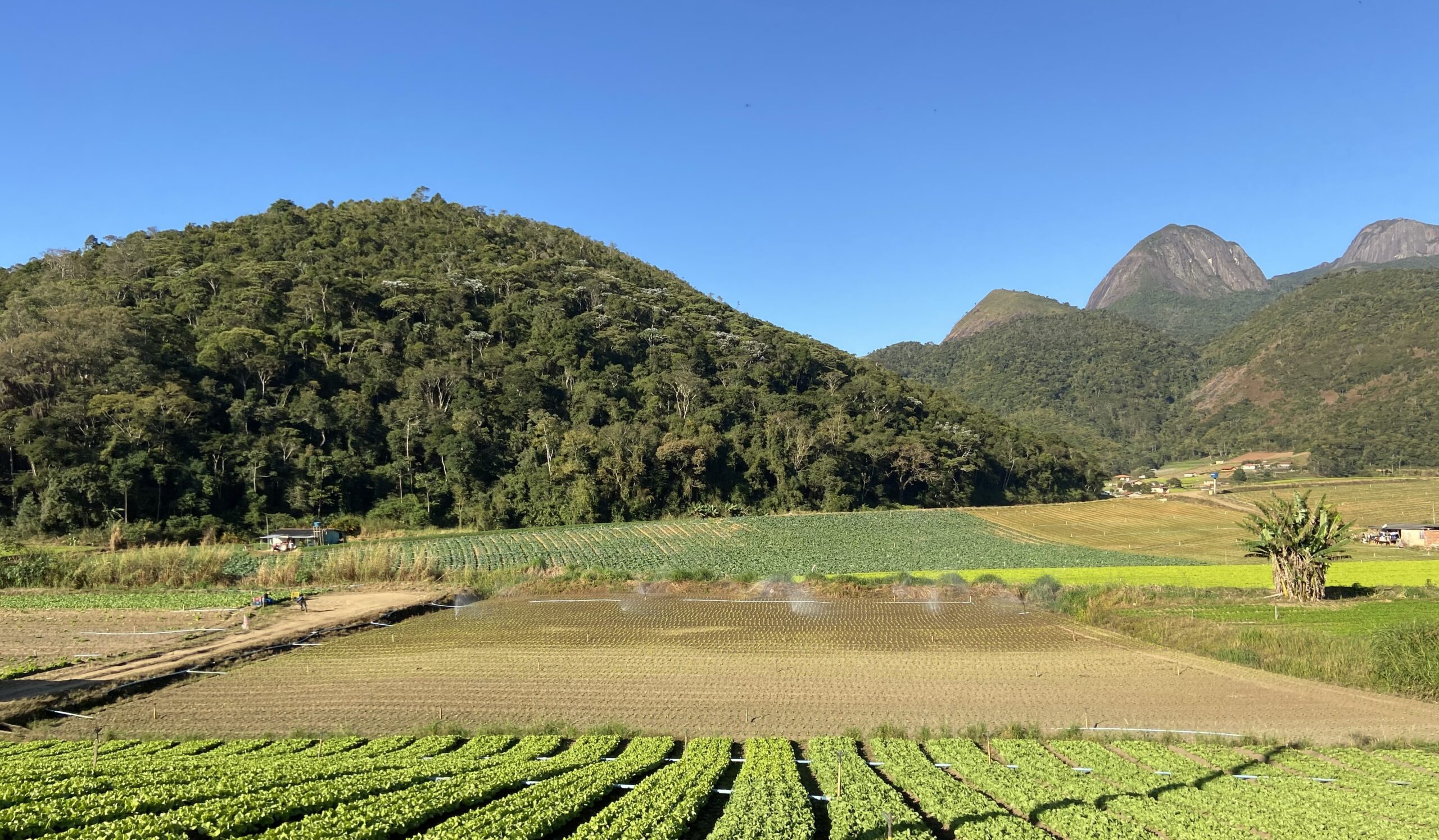 Evento de agricultura realizado em São Luís reúne centenas de produtores  rurais do Estado