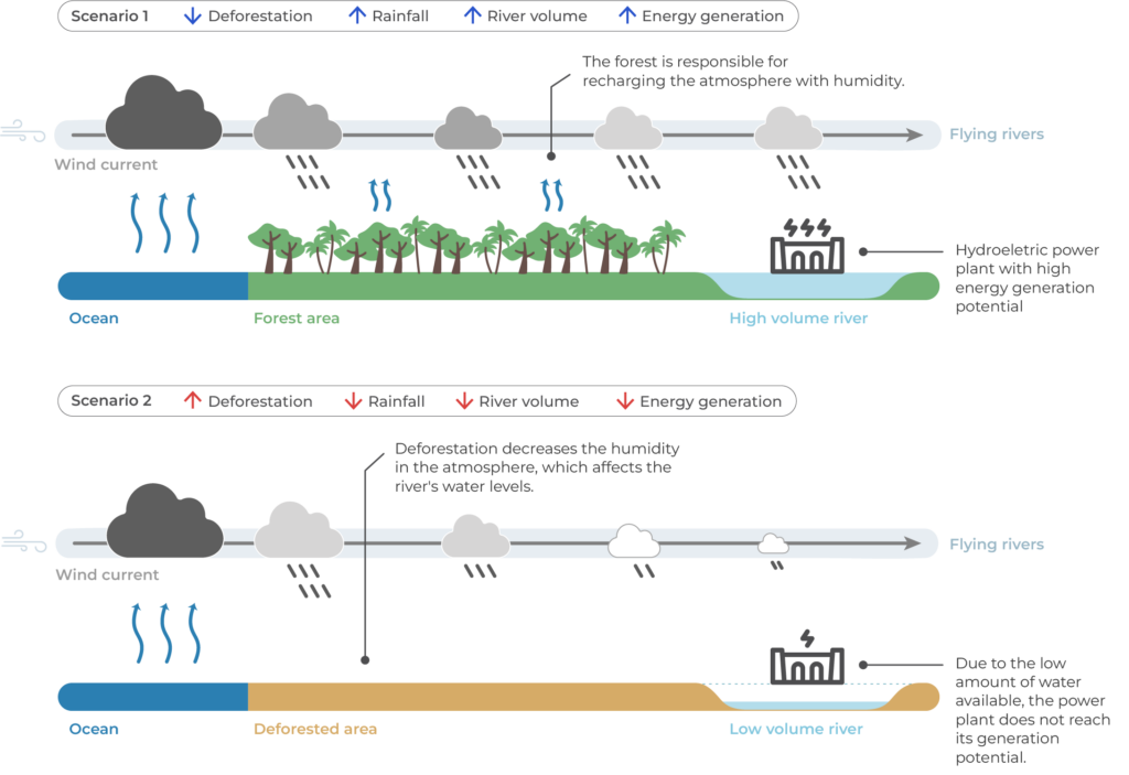 Cutting Down the (Hydropower) Plants: How the Amazon Deforestation is ...