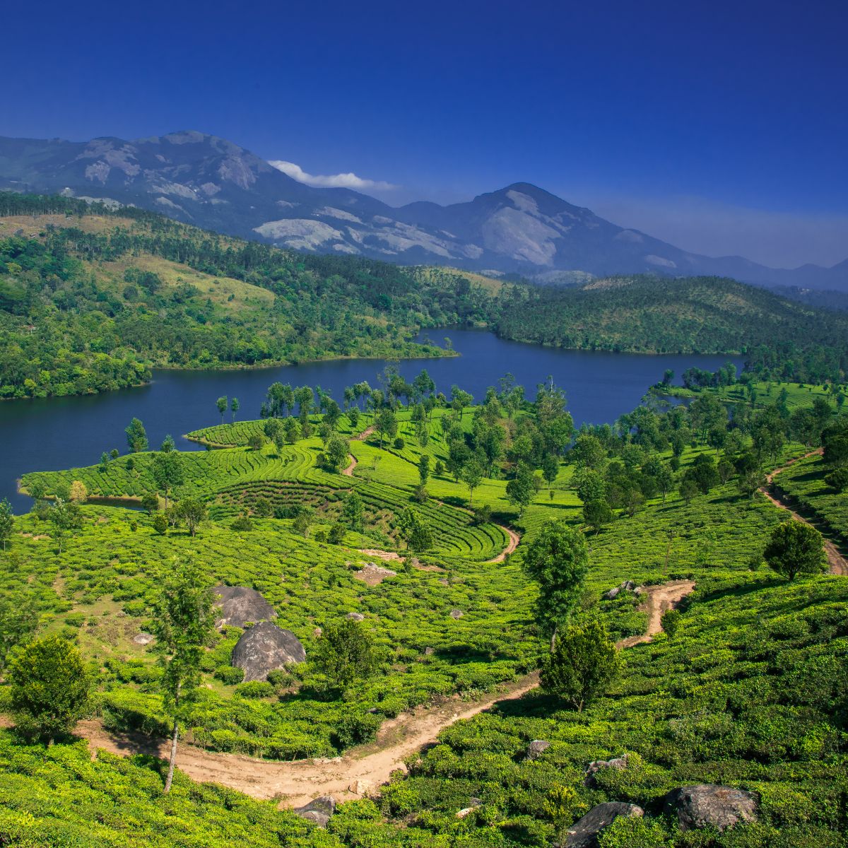 Landscape of Green Finance in India: The Way Forward for Transformational Change. #IndiaFinance Landscape of Green Finance in India: The Way Forward for Transformational Change. #IndiaFinance
