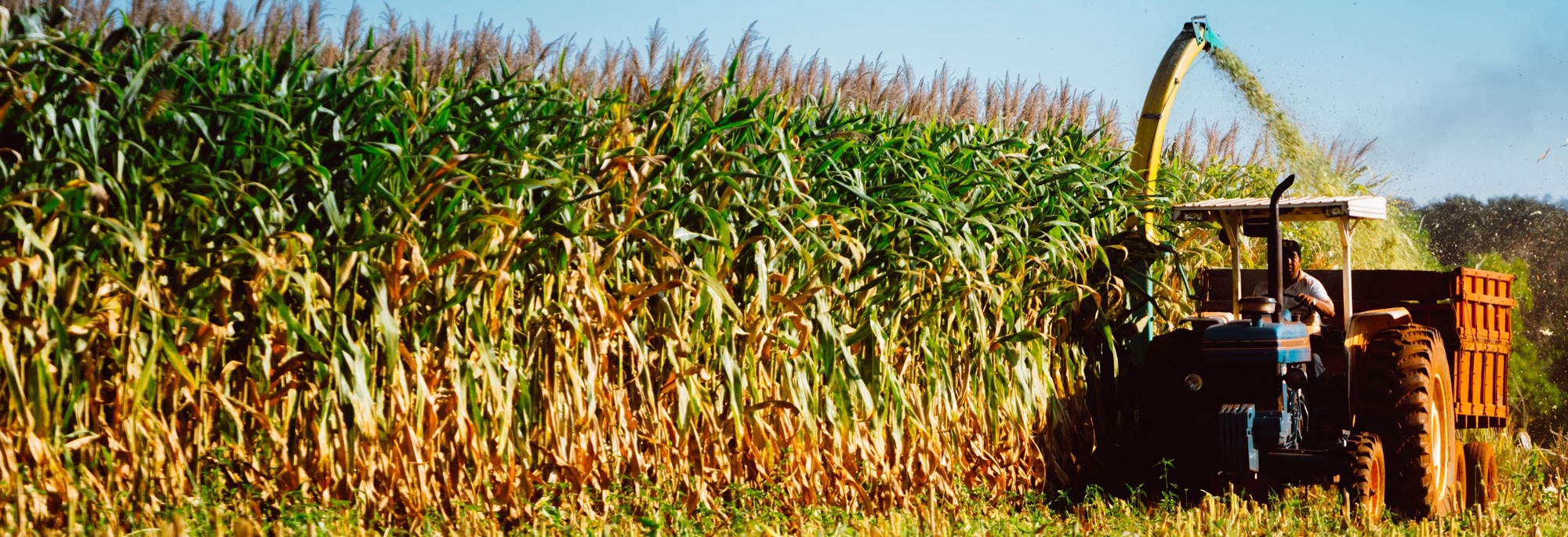 Rural Credit Policy (Landscape of Climate Finance for Land Use in ...