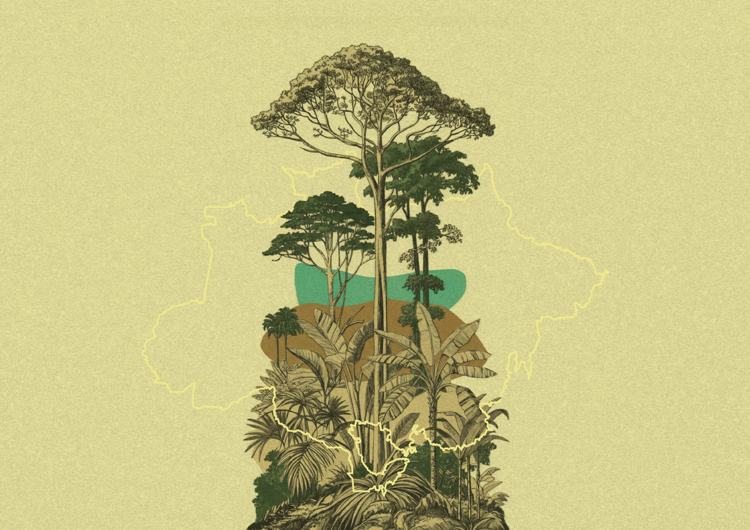 Capa-Restauro-AMZ2030-thumbnail-01-scaled