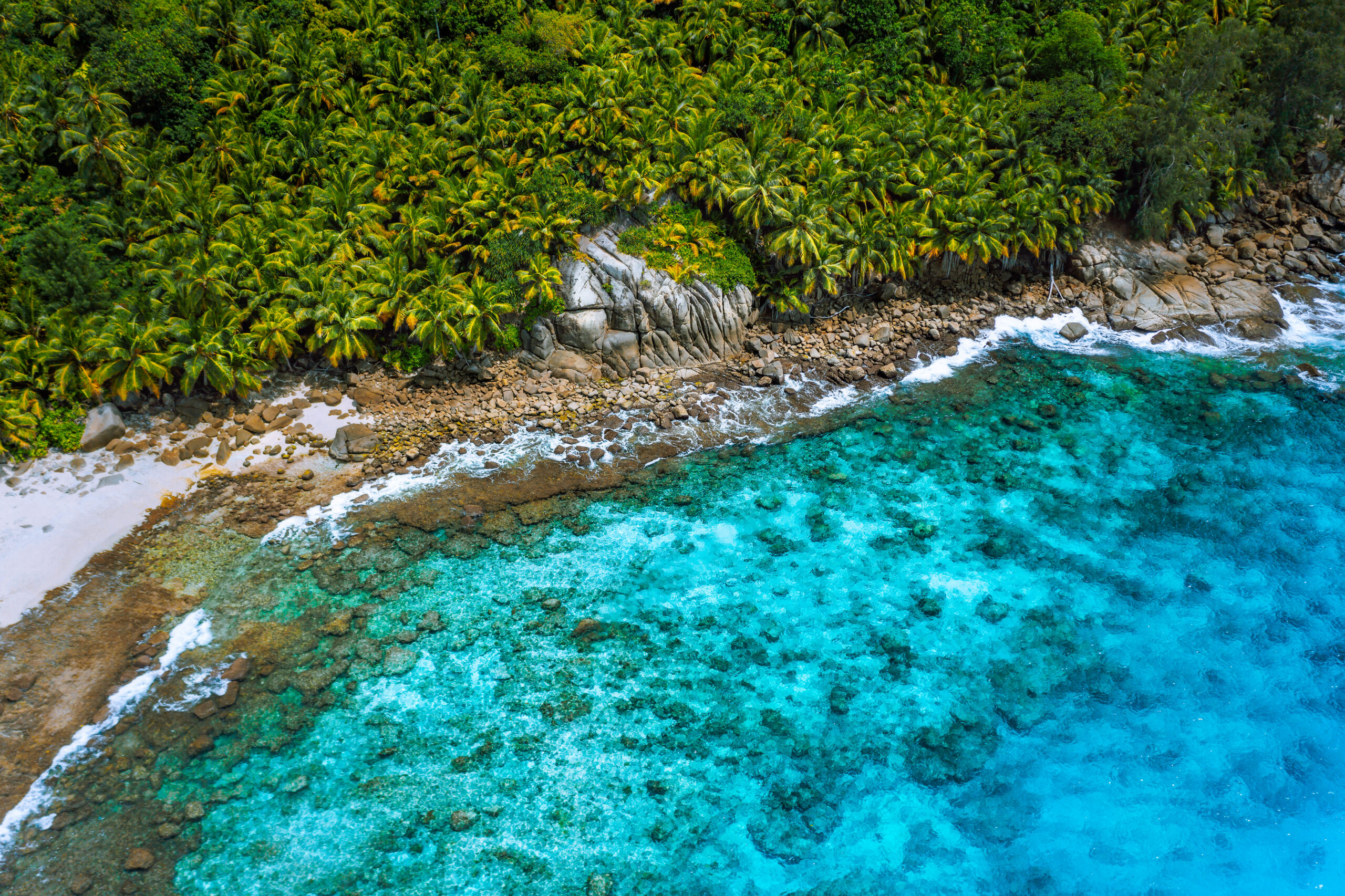 Depositphotos_312602070_XL-scaled