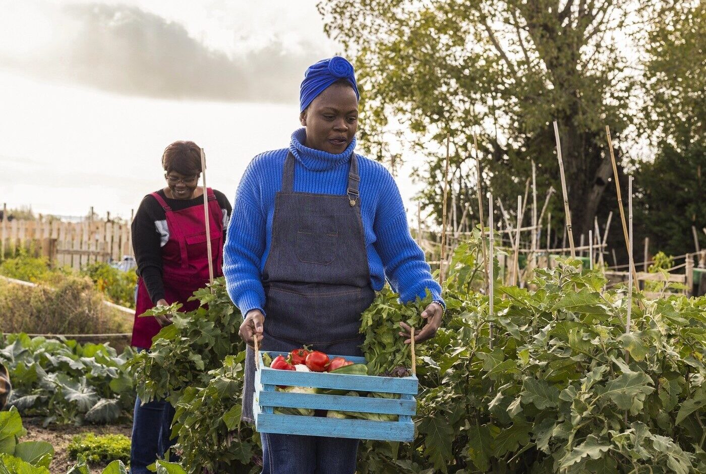 Depositphotos_802989364_L-1-e1766054285658